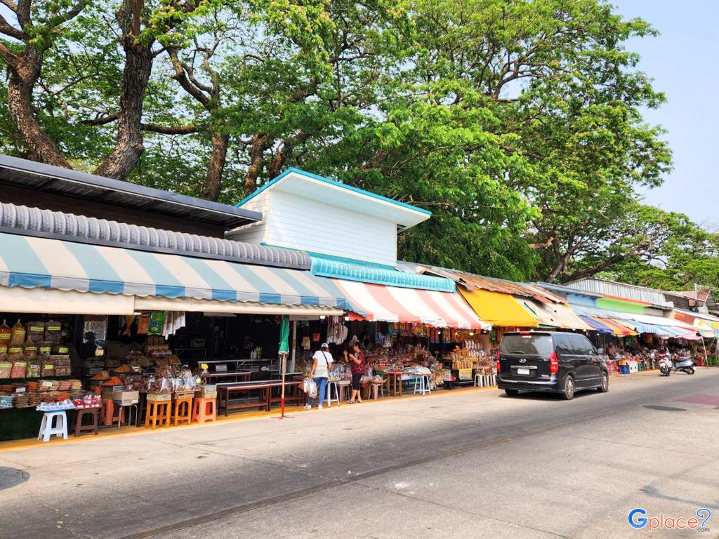 ตลาดบ้านเพ ระยอง แหล่งขายของฝาก อาหารทะเลแห้ง