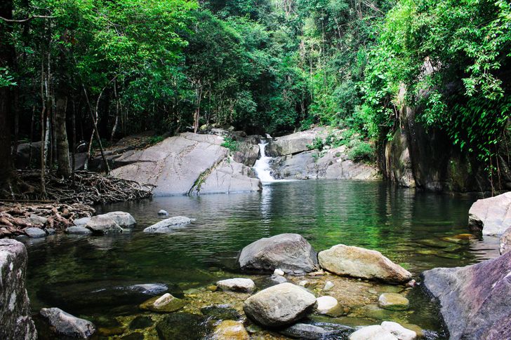 น้ำตกเขาชะเมา ระยอง วังมัจฉา ปลาพลวง