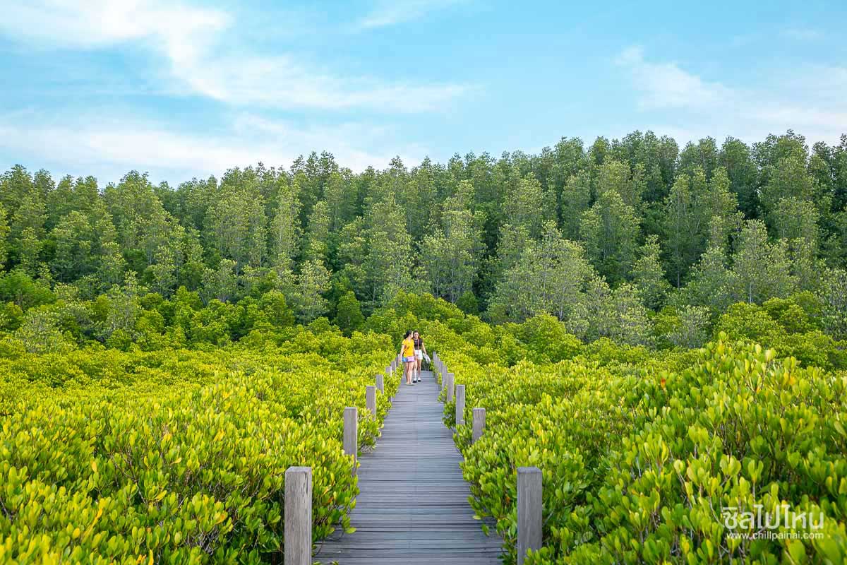 จุดชมวิวทะเลระยอง พระอาทิตย์ตก แหลมแม่พิมพ์